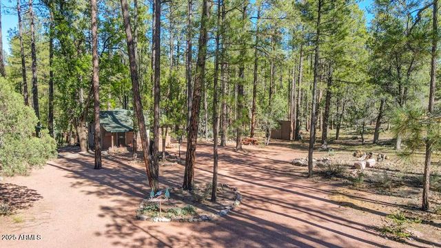 287 S LOOKOUT Trail, Payson, AZ 85541
