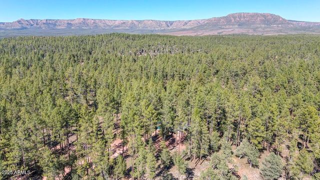 287 S LOOKOUT Trail, Payson, AZ 85541
