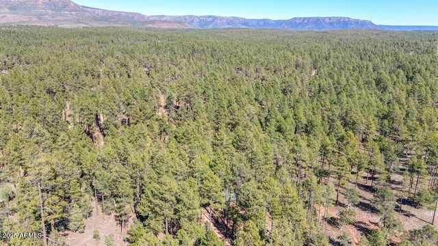 287 S LOOKOUT Trail, Payson, AZ 85541