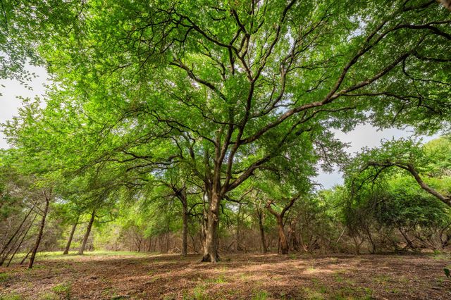 00 County Rd 284, Liberty Hill, TX 78642