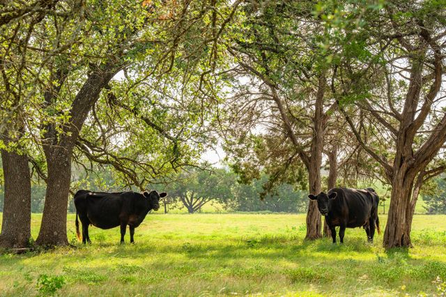 00 County Rd 284, Liberty Hill, TX 78642