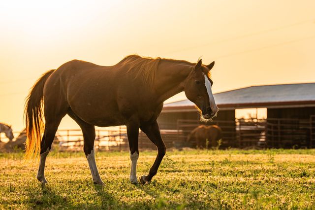 00 County Rd 284, Liberty Hill, TX 78642