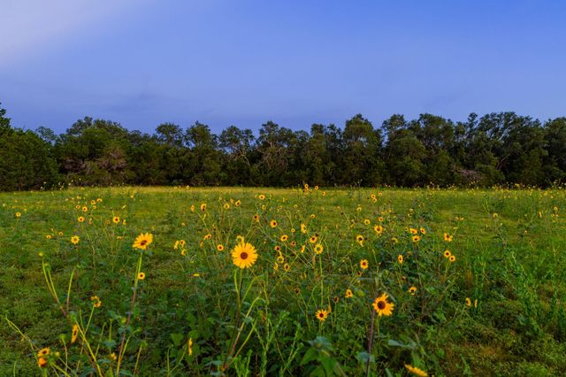 00 County Rd 284, Liberty Hill, TX 78642