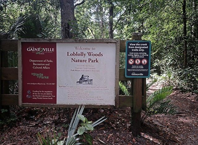 2620 NW 11TH AVENUE, Gainesville, FL 32605