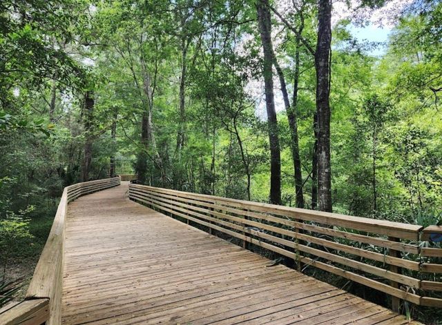 2620 NW 11TH AVENUE, Gainesville, FL 32605