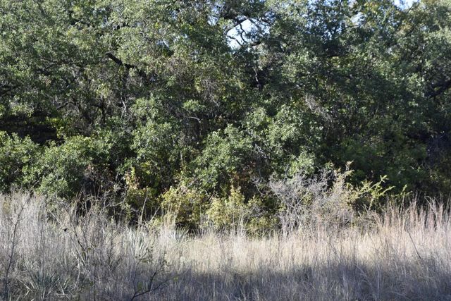 6908 Clover Leaf Drive, Brownwood, TX 76801