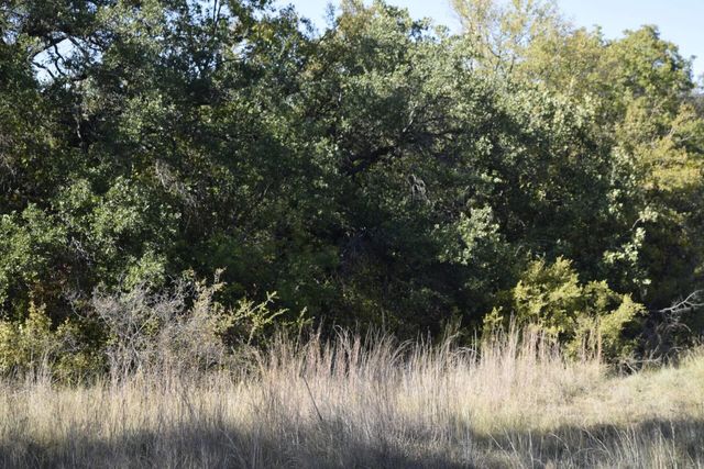 6908 Clover Leaf Drive, Brownwood, TX 76801