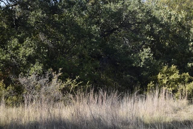 6908 Clover Leaf Drive, Brownwood, TX 76801