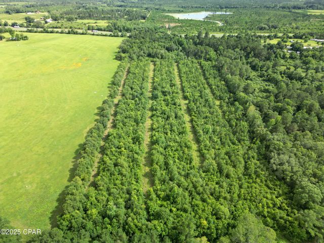 000 Oswald Road, Chipley, FL 32428