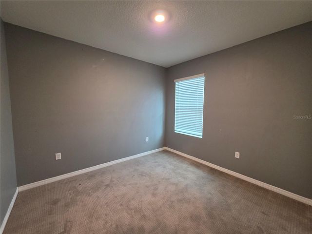 17007 BLISTER WING DRIVE, Wimauma, FL 33598