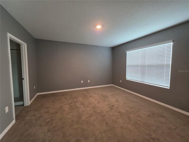 17007 BLISTER WING DRIVE, Wimauma, FL 33598