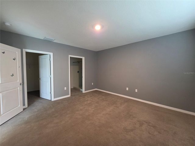 17007 BLISTER WING DRIVE, Wimauma, FL 33598