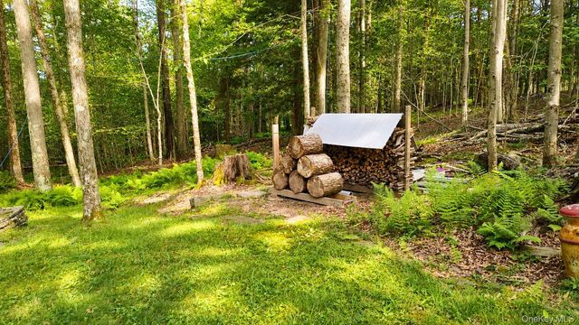 3 Rennison Road, Grahamsville, NY 12740