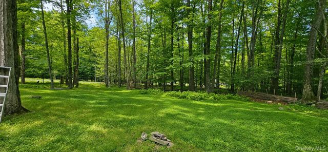 3 Rennison Road, Grahamsville, NY 12740