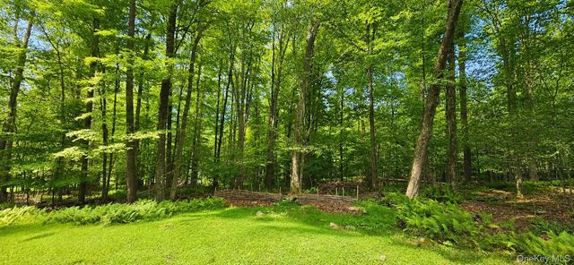 3 Rennison Road, Grahamsville, NY 12740