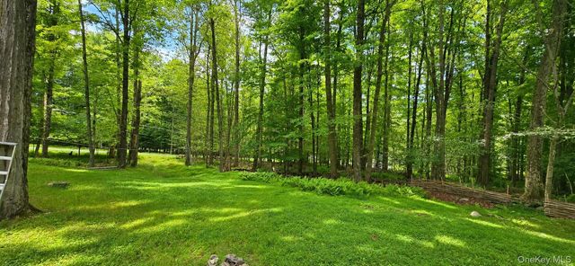 3 Rennison Road, Grahamsville, NY 12740