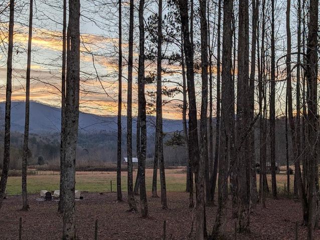 3349 Whitepath Road, Ellijay, GA 30540