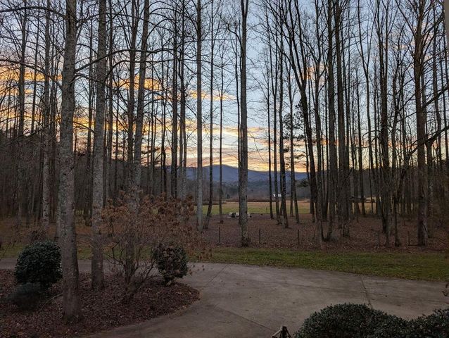 3349 Whitepath Road, Ellijay, GA 30540