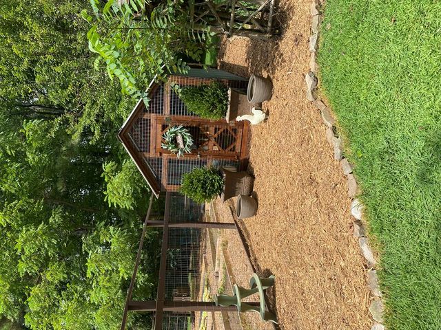 3349 Whitepath Road, Ellijay, GA 30540