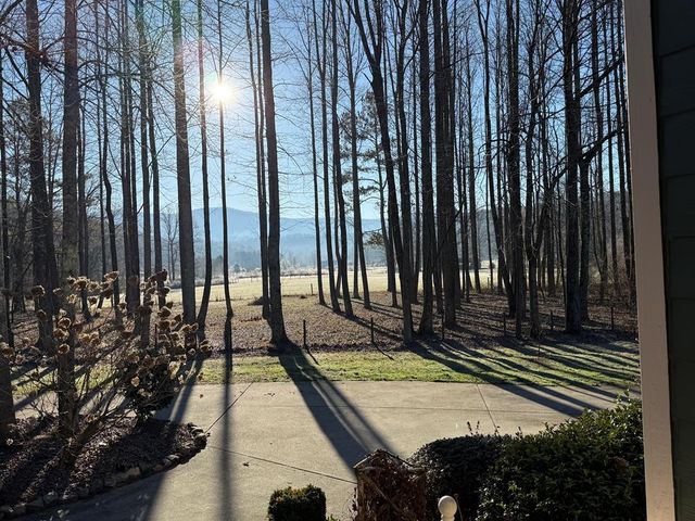 3349 Whitepath Road, Ellijay, GA 30540