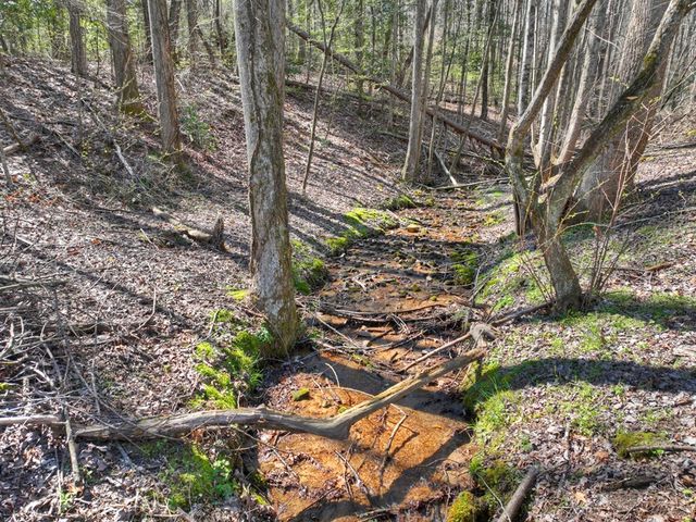 3693 Boardtown Road, Ellijay, GA 30540