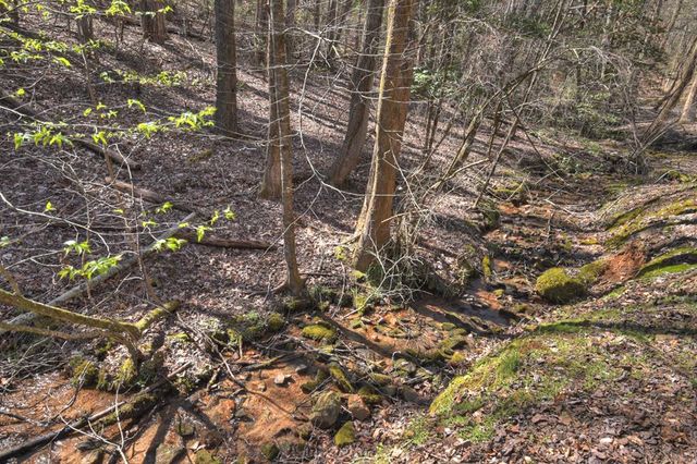 3693 Boardtown Road, Ellijay, GA 30540