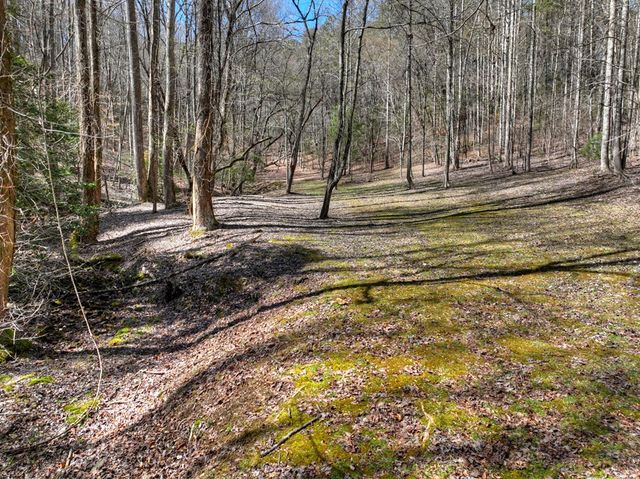 3693 Boardtown Road, Ellijay, GA 30540