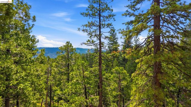 26399 Old Mono Rd, Long Barn, CA 95335