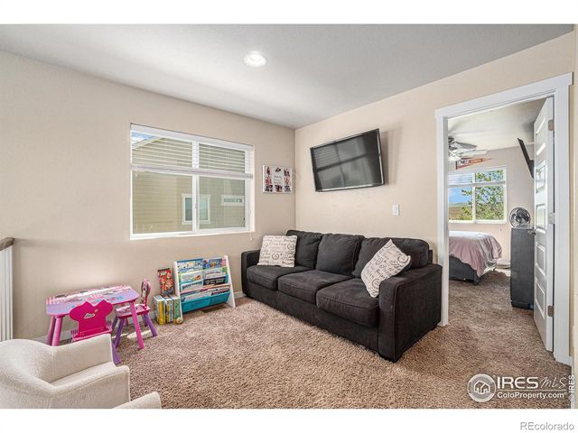 1577 Sierra Plaza Street, Severance, CO 80550