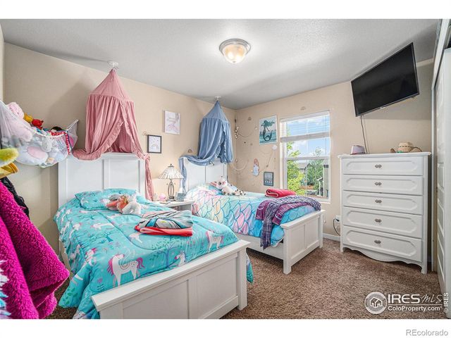 1577 Sierra Plaza Street, Severance, CO 80550