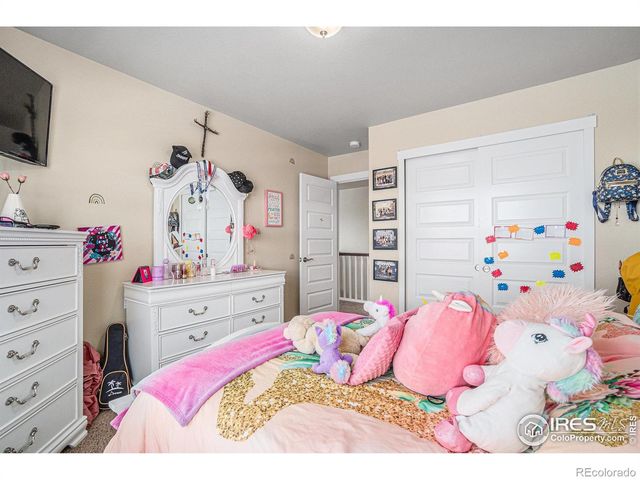 1577 Sierra Plaza Street, Severance, CO 80550