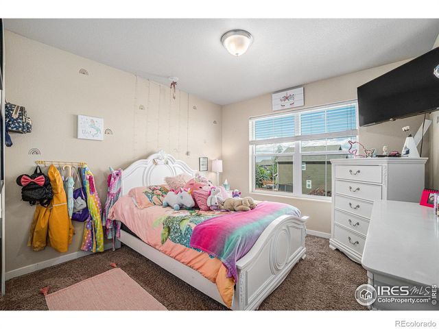 1577 Sierra Plaza Street, Severance, CO 80550