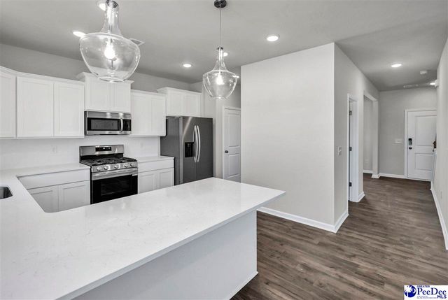 2215 Pandora's Path, Timmonsville, SC 29161
