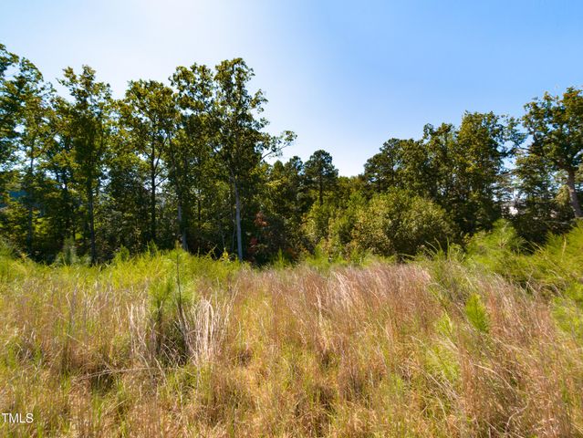 152 Bird Dog Drive, Angier, NC 27501