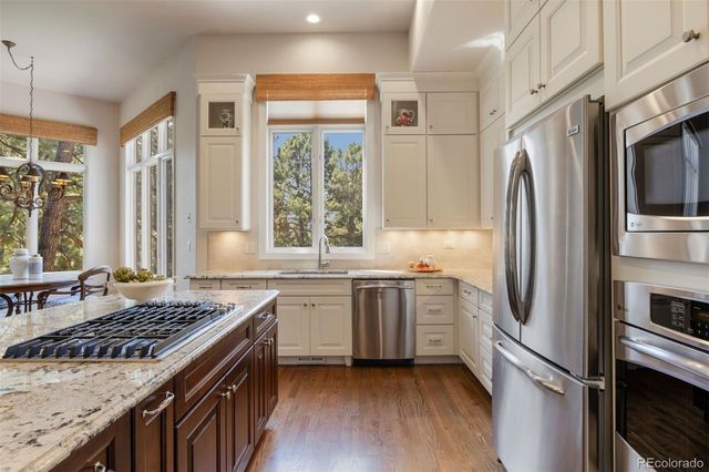 4515 Silver Cliff Court, Castle Rock, CO 80108