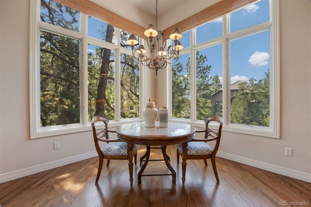 4515 Silver Cliff Court, Castle Rock, CO 80108