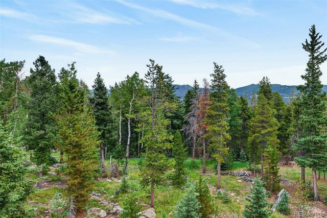 31547 Conifer Mountain Drive, Conifer, CO 80433
