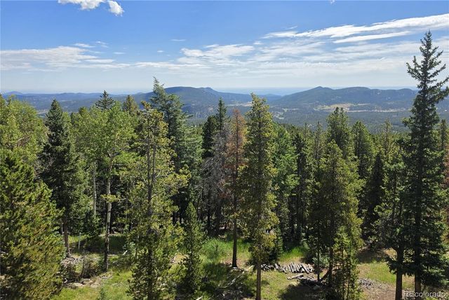 31547 Conifer Mountain Drive, Conifer, CO 80433