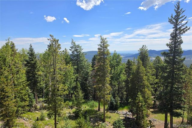 31547 Conifer Mountain Drive, Conifer, CO 80433