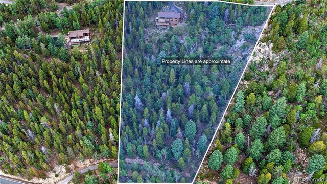 31547 Conifer Mountain Drive, Conifer, CO 80433