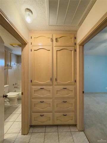 249 Diana Drive, Alamo, TX 78516