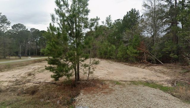 19131 Serpenteer Drive, Porter, TX 77365