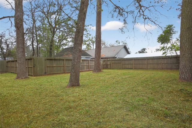 601 Chateau Woods Parkway Drive, Conroe, TX 77385