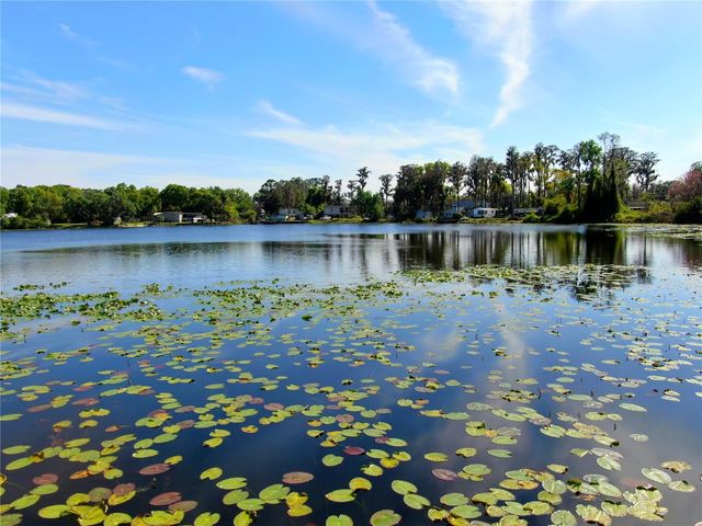 14618 GENEVA DRIVE, Odessa, FL 33556