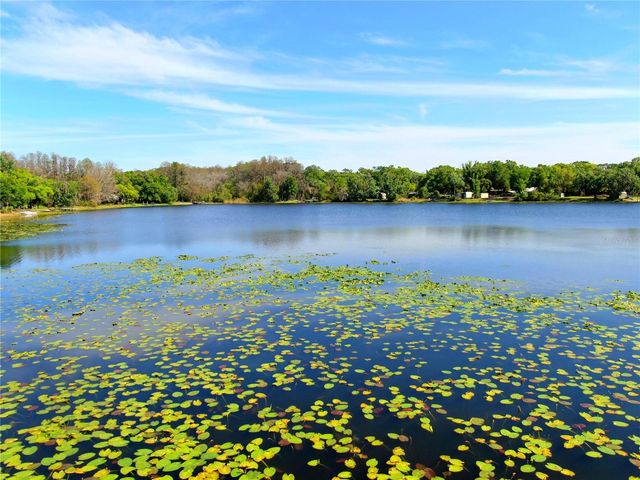 14618 GENEVA DRIVE, Odessa, FL 33556