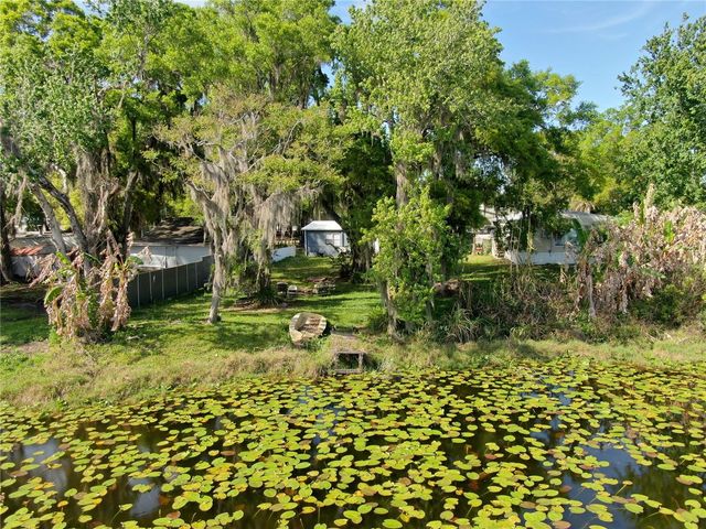 14618 GENEVA DRIVE, Odessa, FL 33556