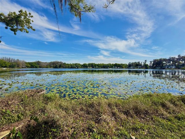 14618 GENEVA DRIVE, Odessa, FL 33556