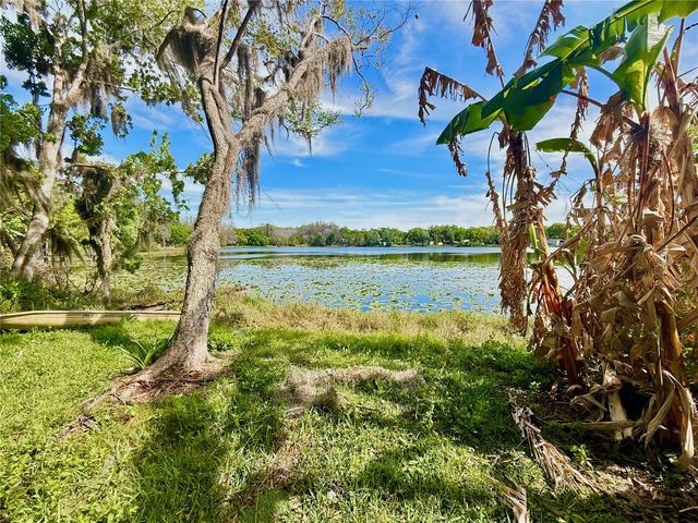 14618 GENEVA DRIVE, Odessa, FL 33556