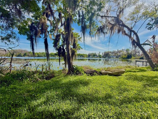 14618 GENEVA DRIVE, Odessa, FL 33556