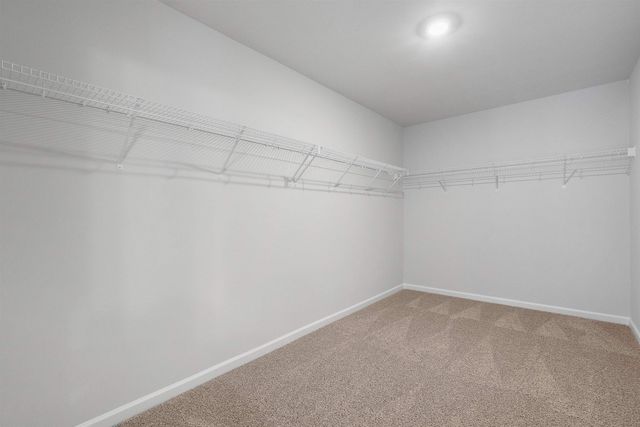 817 Rivas Way, Conway, SC 29527